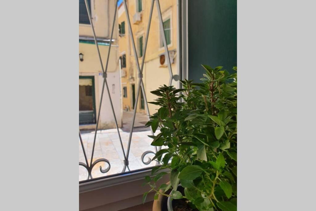 Elia Luxury Suite, Corfu Town 外观 照片